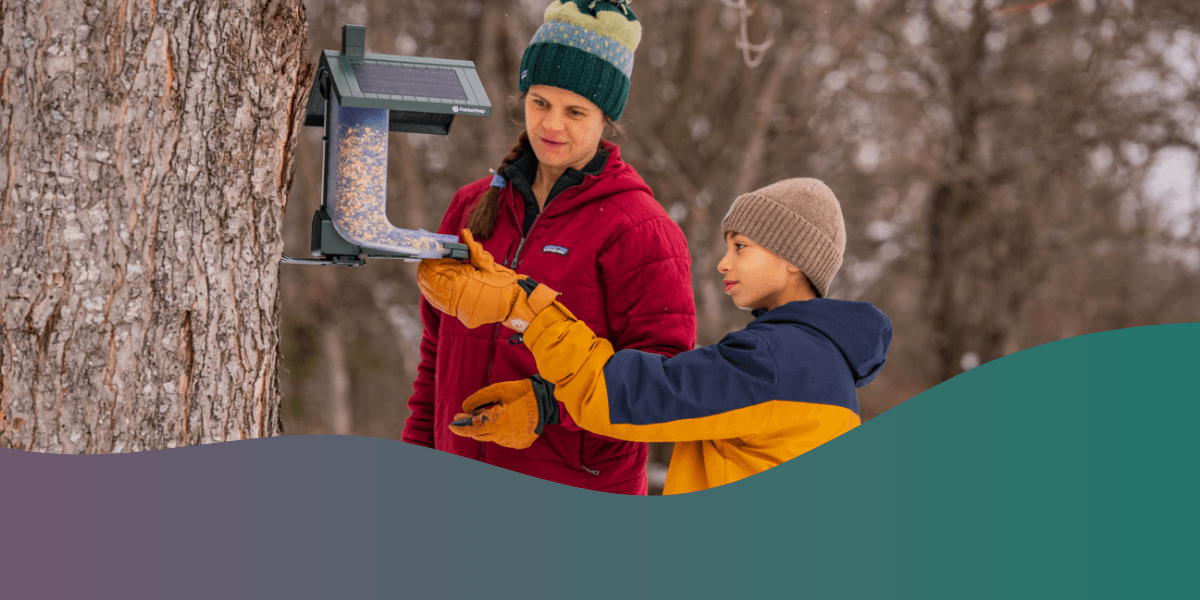 6 Do's and Dont's of Bird Feeding