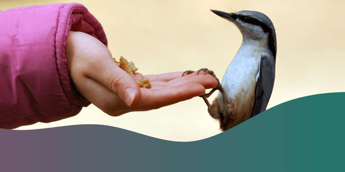 Birding is an engaging activity to spark interest with kids