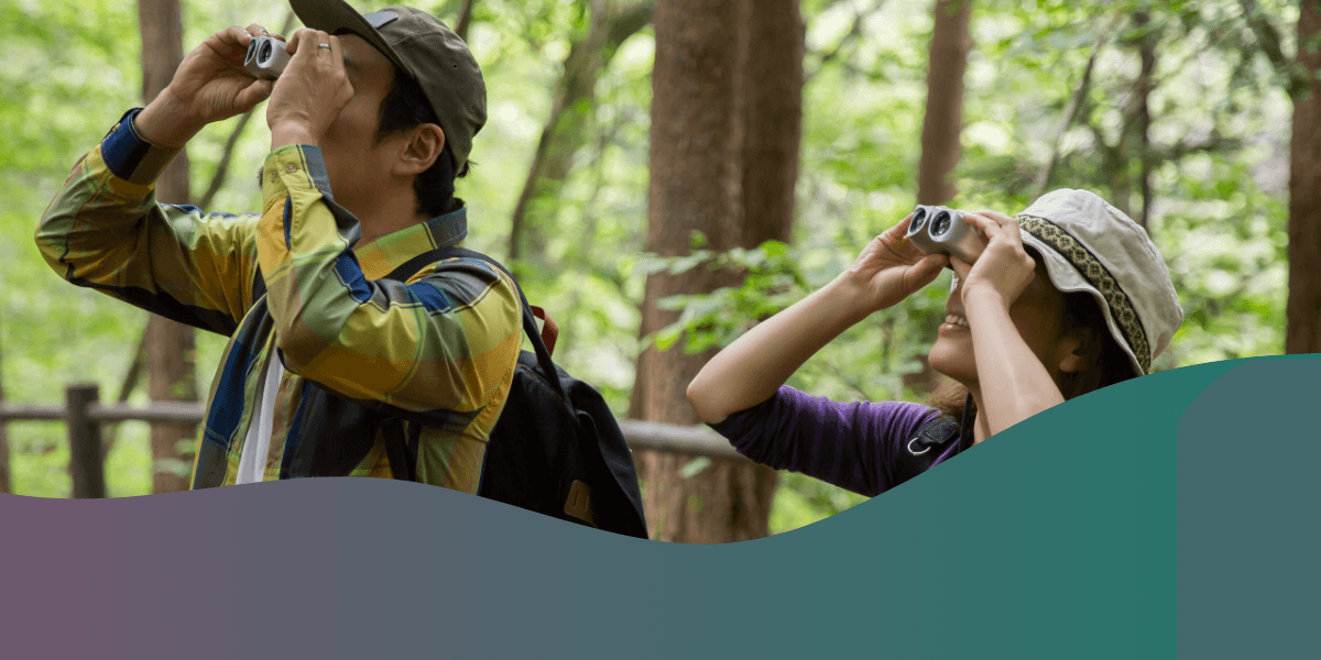 Guide to choosing the best binoculars for birdwatching
