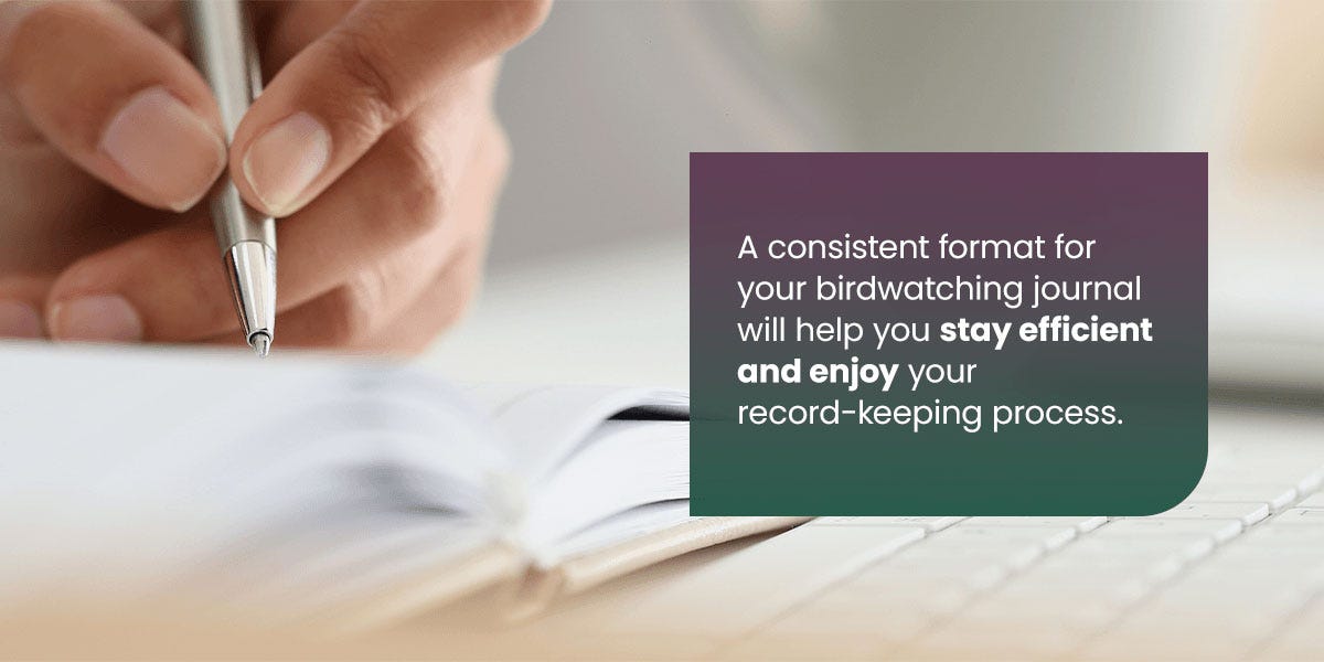 A consistent format for your bird watching journal will help you stay efficient and enjoy the record-keeping process