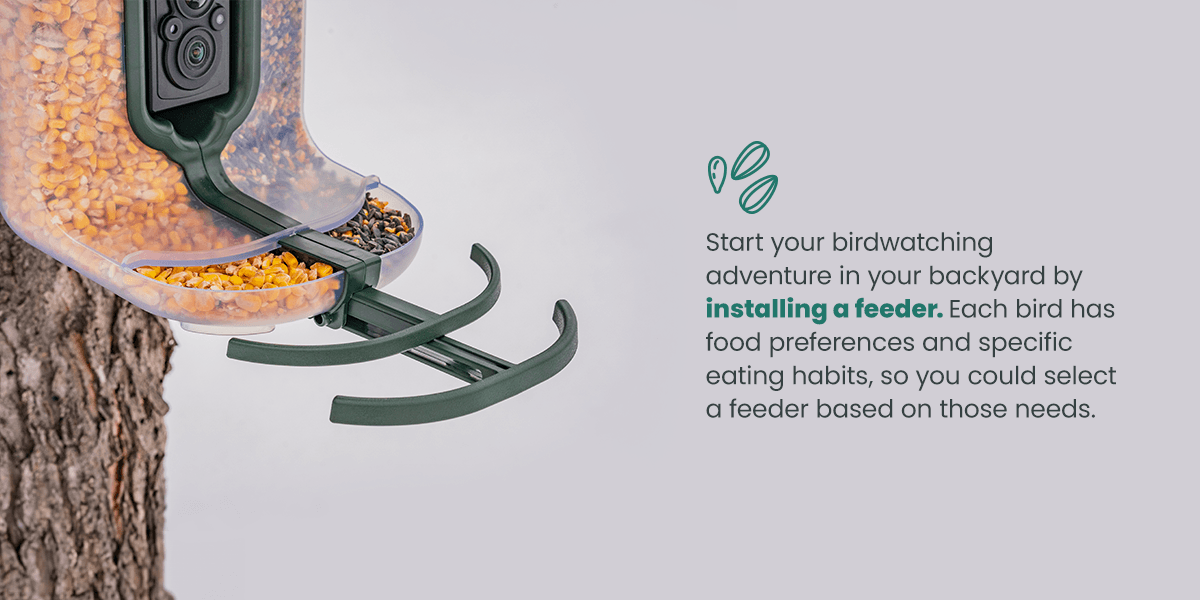 Install a feeder to begin your birdwatching adventure