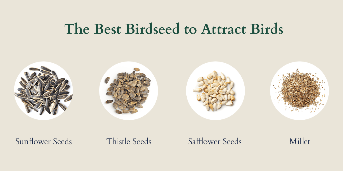 The best seeds to attract birds are Sunflower Seeds, Thistle Seeds, Safflower Seeds and Millet
