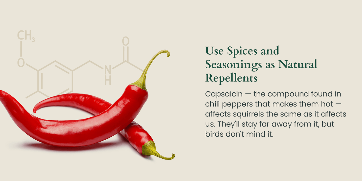 Use spices and seasonings as natural squirrel repellent, it's safe for birds