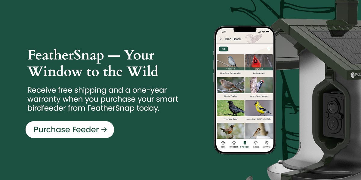 Receive free shipping and a one-year warranty when your purchase your smart birdfeeder today