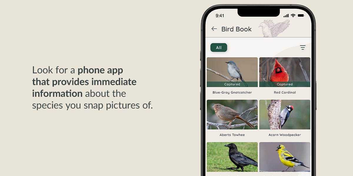 Track seasonal birds in your garden with FeatherSnap Scout