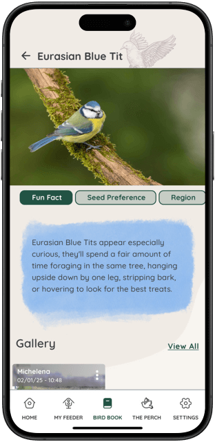 Identify avian visitors to your FeatherSnap feeder with AI