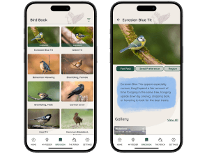 FeatherSnap bird visitor Life Book