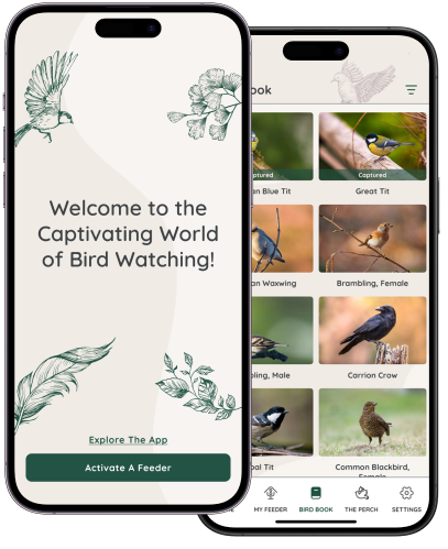 Welcome to your FeatherSnap App